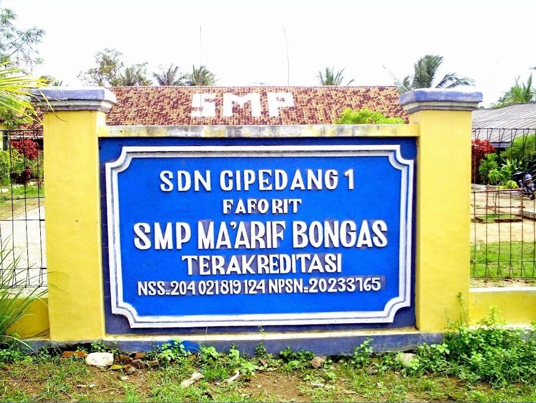 SDN CIPEDANG 1