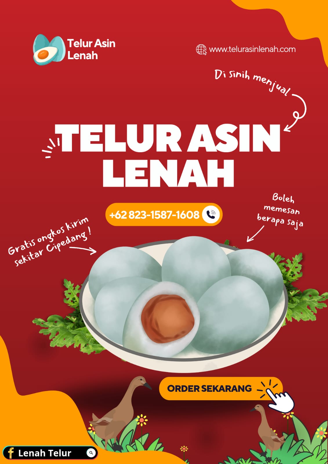 TELUR ASIN LENA